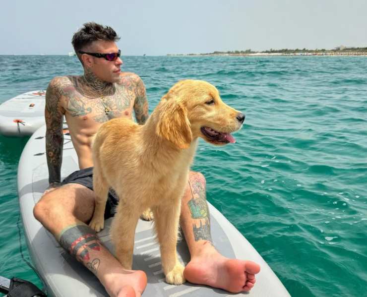 Fedez cane Selvaggia Lucarelli